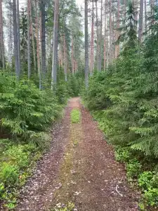Vuoksa&Village - 37