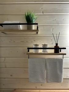 Коттедж на берегу реки - 42