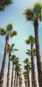 Квартиры на Цветочной 34 - 1047