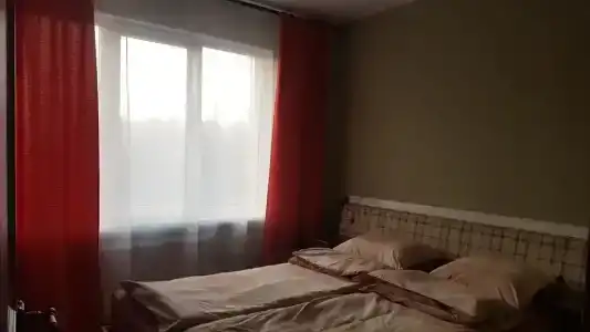 Ореховая роща - 54