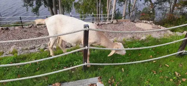 Коттедж на озере Красавица - 28