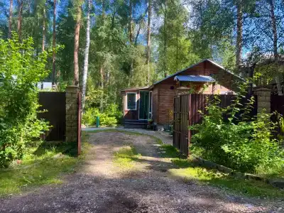 Дом в сосновом бору с гортензиями - 2
