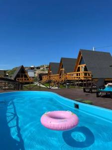 Аквариум - 96