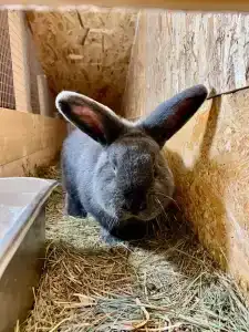 Дом Горчакова - 90