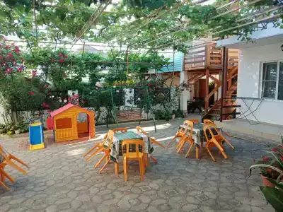 Феникс - 113