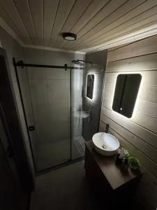 NS house - 15