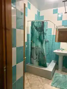 Снежный Барс - 20