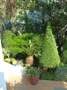 Уютные апартаменты в частном доме с террасой с видом на море - 27