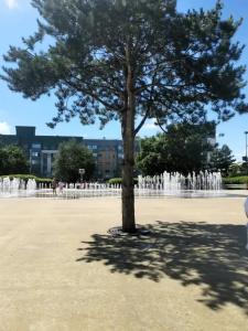 Квартиры на Старопрегольской набережной 16 - 171