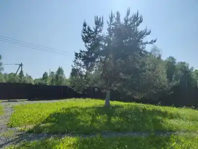 Коттедж с баней у Свири в Ковкеницах - 4