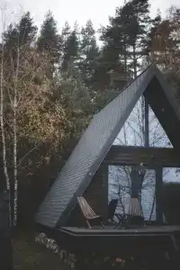 Лесная поляна - 2