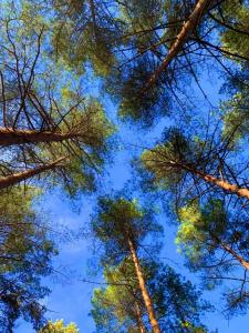 Дом Zarechye с русской баней и горячей купелью - 99