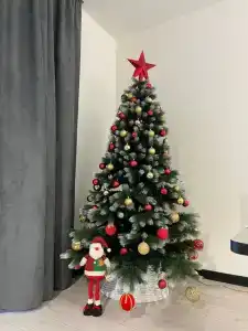 Уютный гостевой дом - 8
