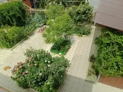 Отдых у моря - 65