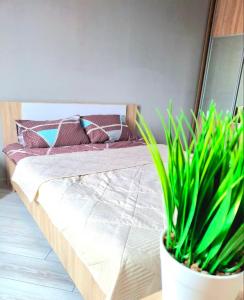 Квартиры на Чкалова 18 - 307