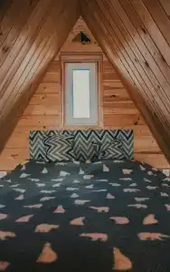 Совенок - 109