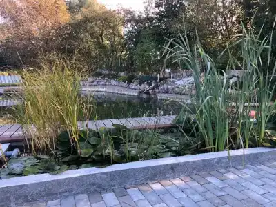 Домик у озера - 19