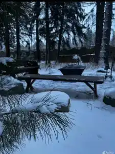 Дом с сауной на участке с хвойным лесом - 19