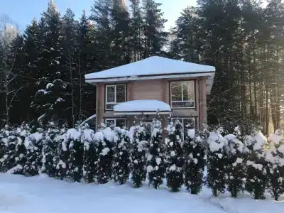 Дом Берендей - 5