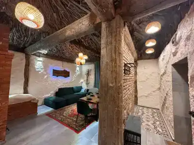 Гнездо с камином - 1