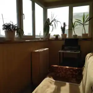 Квартиры на Мусина 21 - 38