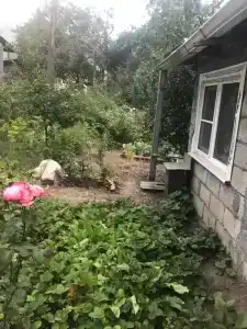 Домик с видом на горы - 0