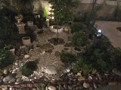 Квартиры на Цветочной 34 - 978