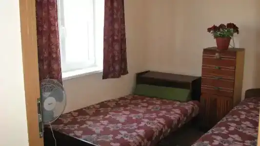 Дельфин - 1