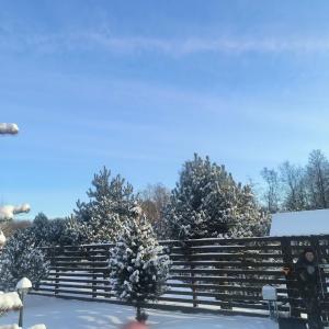 Панский Вал - 29