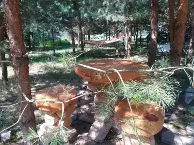 Дом возле озера - 22