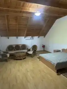 Арви - 24