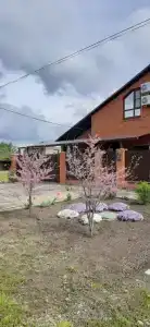 на Цветочной - 43