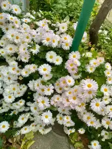 Гостевой дом на Энгельса 15 - 11