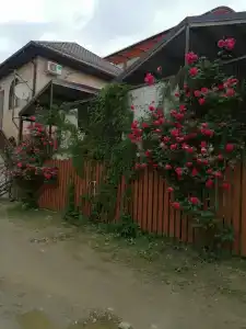 Дача - 1