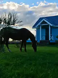 Загородный дом в Мало-Борисково - 3