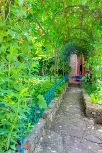 Соколиное Гнездо - 14