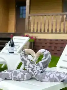 Прозрачный берег - 54