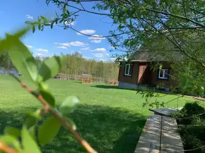 Розалина - 12