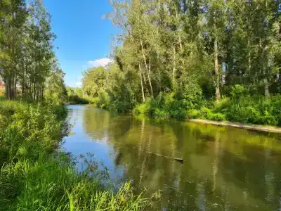Дачи у Юрманки для душевного отдыха на природе - 32