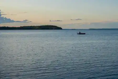 Коди Ярви - 113