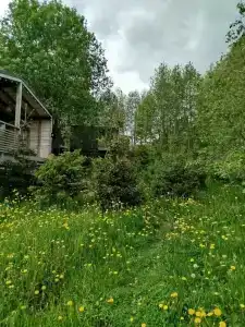 Ясно на речке - 14