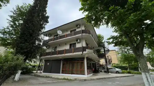Ариана - 1