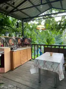 Звезда Гостевой дом - 60