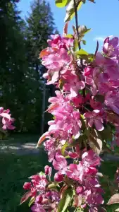 Дом с сауной - 20