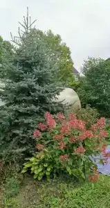 Уютный загородный дом с красивой мангал зоной - 8