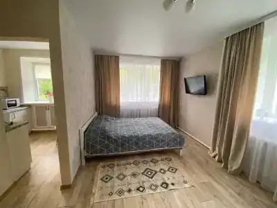 Квартиры на Лоунской 1 - 15