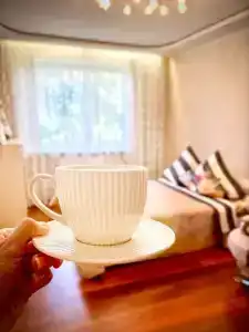 Квартиры на Литовском Вал 87А - 321