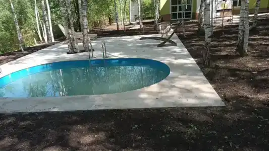 В гостях у леса - 23