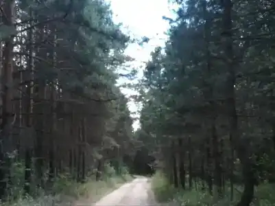 Теремок со всеми удобствами - 28