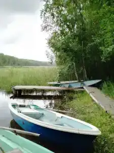 Домик в лесу